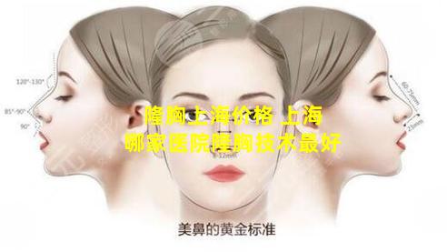 隆胸上海价格 上海哪家医院隆胸技术最好